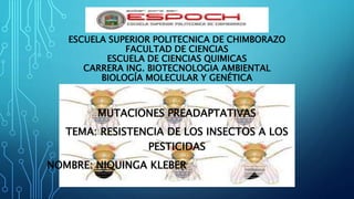 ESCUELA SUPERIOR POLITECNICA DE CHIMBORAZO
FACULTAD DE CIENCIAS
ESCUELA DE CIENCIAS QUIMICAS
CARRERA ING. BIOTECNOLOGIA AMBIENTAL
BIOLOGÍA MOLECULAR Y GENÉTICA
MUTACIONES PREADAPTATIVAS
TEMA: RESISTENCIA DE LOS INSECTOS A LOS
PESTICIDAS
NOMBRE: NIQUINGA KLEBER
 
