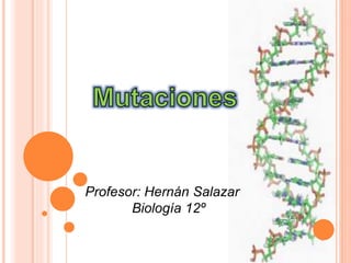Profesor: Hernán Salazar
Biología 12º
 