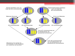 Mutaciones puntuales