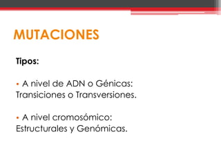 MUTACIONES
Tipos:

• A nivel de ADN o Génicas:
Transiciones o Transversiones.

• A nivel cromosómico:
Estructurales y Genómicas.
 