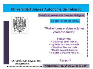 Universidad Juárez Autónoma de Tabasco División Académica de Ciencias Biológicas Villahermosa Tab. 29 de Marzo de 2011 ,[object Object],[object Object],[object Object],[object Object],[object Object],[object Object],[object Object],GENOTOXICOLOGÌA CATEDRÀTICO: Reyna Fósil Monterrubio. Equipo:3 