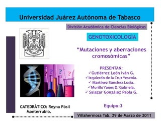 Universidad Juárez Autónoma de Tabasco División Académica de Ciencias Biológicas GENOTOXICOLOGÌA “Mutaciones y aberraciones cromosómicas” PRESENTAN:  ,[object Object]