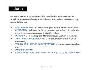 CÁNCER
Más de un centenar de enfermedades que afectan a distintos tejidos.
Las células de estas enfermedades se llaman tumorales o cancerosas. Sus
características son:
• MONOCLONALIDAD: un tumor se origina a partir de un única célula.
• AUTONOMÍA: proliferan de forma desordenada y descontrolada, sin
seguir las leyes que controlan la división celular
• ANAPLASIA: son células poco diferenciadas, se vuelven inmaduras
• CAPACIDAD DE MIGRAR por linfa o sangre, invaden otros órganos
(metástasis)
• PÉRDIDA DE INHIBICIÓN POR CONTACTO Crecen en capas unas sobre
otras
• CAMBIO DE FORMA
• PROVOCAN TUMORES SI SE INYECTAN EN ANIMALES DE LABORATORIO
Miguel A. Castro R.
 