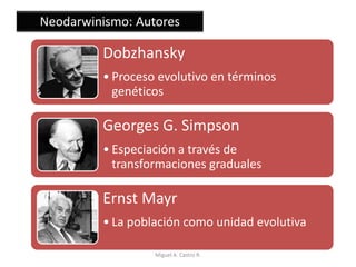 Neodarwinismo: Autores
Dobzhansky
• Proceso evolutivo en términos
genéticos
Georges G. Simpson
• Especiación a través de
transformaciones graduales
Ernst Mayr
• La población como unidad evolutiva
Miguel A. Castro R.
 