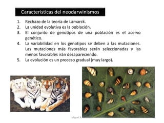 1. Rechazo de la teoría de Lamarck.
2. La unidad evolutiva es la población.
3. El conjunto de genotipos de una población es el acervo
genético.
4. La variabilidad en los genotipos se deben a las mutaciones.
Las mutaciones más favorables serán seleccionadas y las
menos favorables irán desapareciendo.
5. La evolución es un proceso gradual (muy largo).
Características del neodarwinismos
Miguel A. Castro R.
 