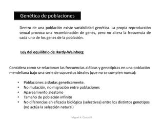 Genética de poblaciones
Dentro de una población existe variabilidad genética. La propia reproducción
sexual provoca una recombinación de genes, pero no altera la frecuencia de
cada uno de los genes de la población.
Ley del equilibrio de Hardy-Weinberg
Considera como se relacionan las frecuencias alélicas y genotípicas en una población
mendeliana bajo una serie de supuestos ideales (que no se cumplen nunca):
• Poblaciones aisladas geneticamente.
• No mutación, no migración entre poblaciones
• Apareamiento aleatorio
• Tamaño de población infinito
• No diferencias en eficacia biológica (selectivas) entre los distintos genotipos
(no actúa la selección natural)
Miguel A. Castro R.
 