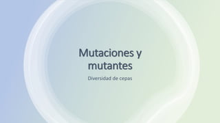 Mutaciones y
mutantes
Diversidad de cepas
 