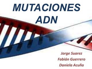 MUTACIONES
ADN

Jorge Suarez
Fabián Guerrero
Daniela Acuña

 