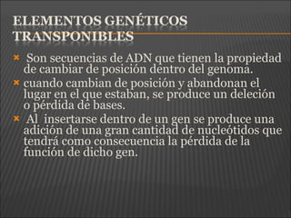  Son secuencias de ADN que tienen la propiedad
de cambiar de posición dentro del genoma.
 cuando cambian de posición y abandonan el
lugar en el que estaban, se produce un deleción
o pérdida de bases.
 Al insertarse dentro de un gen se produce una
adición de una gran cantidad de nucleótidos que
tendrá como consecuencia la pérdida de la
función de dicho gen.
 