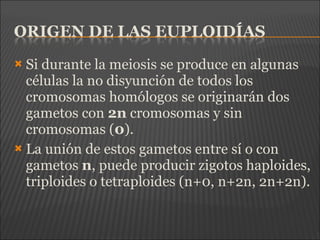  Si durante la meiosis se produce en algunas
células la no disyunción de todos los
cromosomas homólogos se originarán dos
gametos con 2n cromosomas y sin
cromosomas (0).
 La unión de estos gametos entre sí o con
gametos n, puede producir zigotos haploides,
triploides o tetraploides (n+0, n+2n, 2n+2n).
 