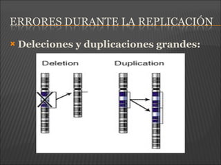  Deleciones y duplicaciones grandes:
 