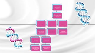 Son los que alteran las
secuencias de nucleótidos
de un solo gen
SUSTITUCION
SE SUSTITUYE UNA
BASE POR OTRA
DENTRO DE LA
SECUENCIA DE ADN
TRANSISION
SE PUEDE SUSTITUIR
UNA BASEPIDIMINICA
POR OTRA (CITOSINA
POR TININA O
VICEVERSA)
TRANSVERSION
SUSTITUYE UNA BASE
PIRIONIDIDICA O
VICEVERSA
DELECCION
PIERDEN BASES
INSERSION
SE INSERTAN
NUCLEOTIDOS EN LA
SECUENCIA DE ADN
MUTACIONES
GENICAS