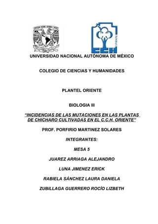UNIVERSIDAD NACIONAL AUTÓNOMA DE MÉXICO


     COLEGIO DE CIENCIAS Y HUMANIDADES



               PLANTEL ORIENTE


                 BIOLOGIA III

“INCIDENCIAS DE LAS MUTACIONES EN LAS PLANTAS
  DE CHICHARO CULTIVADAS EN EL C.C.H. ORIENTE”

       PROF. PORFIRIO MARTINEZ SOLARES

                INTEGRANTES:

                   MESA 5

         JUAREZ ARRIAGA ALEJANDRO

             LUNA JIMENEZ ERICK

       RABIELA SÁNCHEZ LAURA DANIELA

     ZUBILLAGA GUERRERO ROCÍO LIZBETH
 