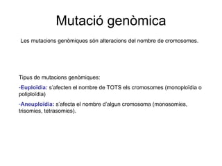 Mutació genòmica Les mutacions genòmiques són alteracions del nombre de cromosomes. Tipus de mutacions genòmiques: Euploïdia:  s’afecten el nombre de TOTS els cromosomes (monoploïdia o poliploïdia) Aneuploïdia:  s’afecta el nombre d’algun cromosoma (monosomies, trisomies, tetrasomies). 