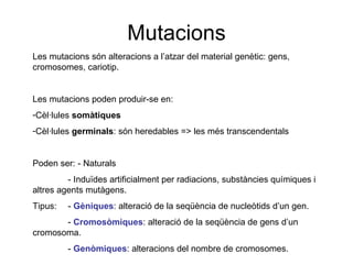 Mutacions Les mutacions són alteracions a l’atzar del material genètic: gens, cromosomes, cariotip. Les mutacions poden produir-se en: Cèl·lules  somàtiques Cèl·lules  germinals : són heredables => les més transcendentals Poden ser: - Naturals - Induïdes artificialment per radiacions, substàncies químiques i altres agents mutàgens. Tipus:  -  Gèniques : alteració de la seqüència de nucleòtids d’un gen. -  Cromosòmiques : alteració de la seqüència de gens d’un cromosoma. -  Genòmiques : alteracions del nombre de cromosomes. 