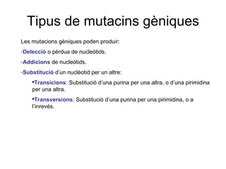 Tipus de mutacins gèniques Les mutacions gèniques poden produir: Delecció  o pèrdua de nucleòtids. Addicions  de nucleòtids. Substitució  d’un nuclèotid per un altre: Transicions : Substitució d’una purina per una altra, o d’una pirimidina per una altra. Transversions : Substitució d’una purina per una pirimidina, o a l’inrevés. 