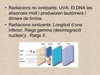 • Radiacions no ionitzants: UVA. El DNA les
absorveix molt i produeixen tautòmers i
dímers de timina.
• Radiacions ionitzants: Longitud d’ona
inferior. Raigs gamma (desintegració
nuclear)) , Raigs X
 