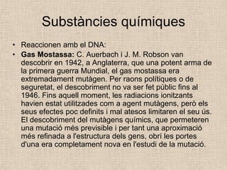 Substàncies químiques
• Reaccionen amb el DNA:
• Gas Mostassa: C. Auerbach i J. M. Robson van
descobrir en 1942, a Anglaterra, que una potent arma de
la primera guerra Mundial, el gas mostassa era
extremadament mutàgen. Per raons polítiques o de
seguretat, el descobriment no va ser fet públic fins al
1946. Fins aquell moment, les radiacions ionitzants
havien estat utilitzades com a agent mutàgens, però els
seus efectes poc definits i mal atesos limitaren el seu ús.
El descobriment del mutàgens químics, que permeteren
una mutació més previsible i per tant una aproximació
més refinada a l'estructura dels gens, obrí les portes
d'una era completament nova en l'estudi de la mutació.
 