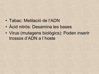 • Tabac: Metilació de l’ADN
• Àcid nitrós: Desamina les bases
• Virus (mutagens biològics): Poden inserir
trossos d’ADN a l´hoste
 