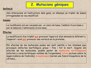 2. Mutacions gèniques
Són alteracions en l’estructura dels gens, on almenys un triplet de bases
nitrogenades es veu modificat.
La modificació d’un triplet pot provocar l’aparició d’un aminoàcid diferent a
l’esperat i això pot provocar una variació en la proteïna.
Els efectes de les mutacions poden ser molt subtils o tan intensos que
provoquin defectes morfològics greus i fins i tot la mort. Segons els
efectes de les mutacions, podem parlar de mutacions morfològiques
(afecten a característiques visibles de l’organisme), letals (actuen sobre la
supervivència de l’individu), bioquímiques (varien una funció bioquímica de la
cèl·lula),...
Definició
Causes
Efectes
La modificació pot ser causada per un canvi de base, l’addició d’una base o
per al delecció (=eliminació) d’una base.
 