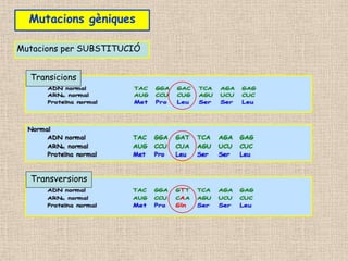 Mutacions gèniques
Transicions
Transversions
Mutacions per SUBSTITUCIÓ
 