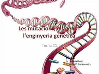 Les mutacions, els gens i
l’enginyeria genètica
Tema 11
Biologia
1r de Batxillerat
Curs 2010 2n trimestre
 