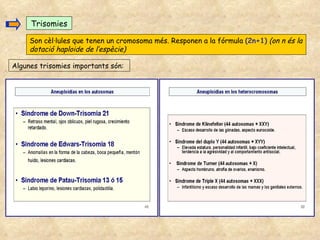 Trisomies Son cèl·lules que tenen un cromosoma més. Responen a la fórmula  (2n+1)   (on n és la dotació haploide de l’espècie) Algunes trisomies importants són: 