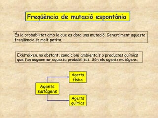 Freqüència de mutació espontània És la probabilitat amb la que es dona una mutació. Generalment aquesta freqüència és molt petita.  Existeixen, no obstant, condicions ambientals o productes químics que fan augmentar aquesta probabilitat. Són els agents mutàgens.  Agents mutàgens Agents físics Agents químics 