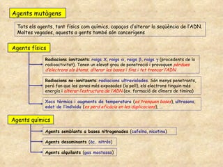 Agents mutàgens Tots els agents, tant físics com químics, capaços d’alterar la seqüència de l’ADN. Moltes vegades, aquests a gents també són cancerígens Agents físics Radiacions ionitzants :  raigs X ,  raigs   ,  raigs   ,  raigs    (procedents de la radioactivitat). Tenen un elevat grau de penetració i provoquen  pèrdues d’electrons als àtoms, alterar les bases i fins i tot trencar l’ADN Radiacions no-ionitzants :  radiacions ultraviolades . Són menys penetrants, però fan que les zones més exposades (la pell), els electrons tinguin més energia i  alterar l’estructura de l’ADN  (ex. formació de dímers de timina) Xocs tèrmics i augments de temperatura  ( es trenquen bases ),  ultrasons ,  edat de l’individu  ( es perd eficàcia en les duplicacions ),  ... Agents químics Agents semblants a bases nitrogenades   ( cafeïna ,  nicotina ) Agents desaminants   ( àc. nitrós ) Agents alquilants  ( gas mostassa ) 