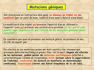 Mutacions gèniques Són alteracions en l’estructura dels gens,  on almenys un triplet es veu modificat  (per un canvi de base, l’addició d’una base o deleció d’una base) La modificació d’un triplet  pot  provocar l’aparició d’un aa. diferent a l’esperat i això  pot  provocar una variació en la proteïna  (el fet que el codi genètic sigui degenerat fa que l’efecte de les mutacions gèniques quedi esmorteït.) Es considera que quan es produeix una mutació gènica, es produeix un nou AL·LEL en aquest gen Els efectes de les mutacions poden ser molt subtils o tan intensos que provoquin defectes morfològics greus i fins i tot la mort.  Segons els efectes de les mutacions, podem parlar de  mutacions morfològiques  (afecten a característiques visibles de l’organisme),  letals  (actuen sobre la supervivència de l’individu),  condicionals  (la mutació es manifesta en determinades condicions),  bioquímiques  (varien una funció bioquímica de la cèl·lula),...  