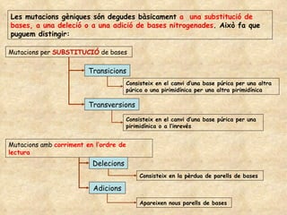 Les mutacions gèniques són degudes bàsicament  a  una substitució de bases, a una deleció o a una adició de bases nitrogenades . Això fa que puguem distingir: Mutacions per  SUBSTITUCIÓ  de bases Transicions Transversions Mutacions amb  corriment en l’ordre de lectura Delecions Adicions Consisteix en el canvi d’una base púrica per una altra púrica o una pirimidínica per una altra pirimidínica Consisteix en el canvi d’una base púrica per una pirimidínica o a l’inrevés Consisteix en la pèrdua de parells de bases Apareixen nous parells de bases 