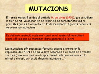 MUTACIONS El terme mutació es deu al botànic  H. de Vries (1901),  que estudiant la flor de nit, va adonar-se de l’aparició de característiques no previstes que es transmetien a la descendència. Aquests canvis els va anomenar mutacions Es defineix mutació qualsevol canvi en el  material hereditari d’una cèl·lula que es transmet d’una generació a l’altra Les mutacions són successos fortuïts deguts a errors en la replicació de l’ADN o bé en la seva reparació o a l’acció de diversos factors (incorreccions en el repartiment dels cromosomes en la mitosi o meiosi, per acció d’agents mutàgens,...) 