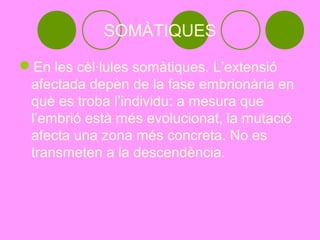 SOMÀTIQUES

En les cèl·lules somàtiques. L’extensió
 afectada depèn de la fase embrionària en
 què es troba l’individu: a mesura que
 l’embrió està més evolucionat, la mutació
 afecta una zona més concreta. No es
 transmeten a la descendència.
 