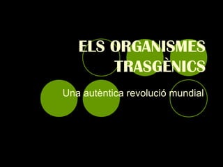 ELS ORGANISMES
       TRASGÈNICS
Una autèntica revolució mundial
 