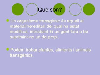 Què són?
Un organisme transgènic és aquell el
 material hereditari del qual ha estat
 modificat, introduint-hi un gent forà o bé
 suprimint-ne un de propi.

Podem trobar plantes, aliments i animals
 transgènics.
 