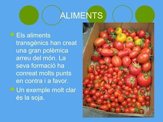 ALIMENTS

Els aliments
 transgènics han creat
 una gran polèmica
 arreu del món. La
 seva formació ha
 conreat molts punts
 en contra i a favor.
Un exemple molt clar
 és la soja.
 
