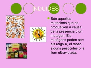INDUÏDES
    Són aquelles
     mutacions que es
     produeixen a causa
     de la presència d’un
     mutagen. Els
     mutàgens poden ser:
     els raigs X, el tabac,
     alguns pesticides o la
     llum ultraviolada.
 