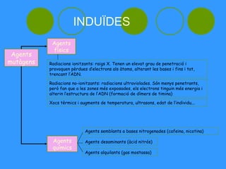INDUÏDES
            Agents
             físics
 Agents
mutàgens   Radiacions ionitzants: raigs X. Tenen un elevat grau de penetració i
           provoquen pèrdues d’electrons als àtoms, alterant les bases i fins i tot,
           trencant l’ADN.

           Radiacions no-ionitzants: radiacions ultraviolades. Són menys penetrants,
           però fan que a les zones més exposades, els electrons tinguin més energia i
           alterin l’estructura de l’ADN (formació de dímers de timina)

           Xocs tèrmics i augments de temperatura, ultrasons, edat de l’individu...




                            Agents semblants a bases nitrogenades (cafeïna, nicotina)

            Agents          Agents desaminants (àcid nitrós)
            químics
                            Agents alquilants (gas mostassa)
 