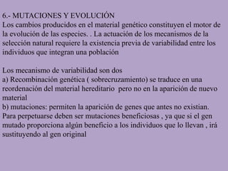 6.- MUTACIONES Y EVOLUCIÓN
Los cambios producidos en el material genético constituyen el motor de
la evolución de las especies. . La actuación de los mecanismos de la
selección natural requiere la existencia previa de variabilidad entre los
individuos que integran una población
Los mecanismo de variabilidad son dos
a) Recombinación genética ( sobrecruzamiento) se traduce en una
reordenación del material hereditario pero no en la aparición de nuevo
material
b) mutaciones: permiten la aparición de genes que antes no existian.
Para perpetuarse deben ser mutaciones beneficiosas , ya que si el gen
mutado proporciona algún beneficio a los individuos que lo llevan , irá
sustituyendo al gen original
 