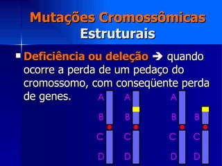 Mutações Cromossômicas Estruturais <ul><li>Deficiência ou deleção     quando ocorre a perda de um pedaço do cromossomo, c...
