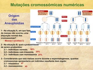 Mutaç ões cromossómicas numéricas Origem  das Aneuploidias 50% 47 45 25% 25% Meiose I (anafase I) 1 - Na situaç ão A, em que fase da meiose não ocorreu uma disjunção normal dos cromossomas? 2 - Na situação B, qual a probabilidade de serem produzidos: 2.1 - Indivíduos normais.  2.2 - indivíduos com trissomia.  2.3 - indivíduos com monossomia 3 - Considerando que esta meiose ocorre durante a espermatogénese, quantos  cromossomas apresentaria um indivíduo resultante dum zigoto: 3.1 - trissómico 3.2 - monossómico   