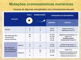 Mutaç ões cromossómicas numéricas Causas de algumas aneuploidias nos cromossomas sexuais 