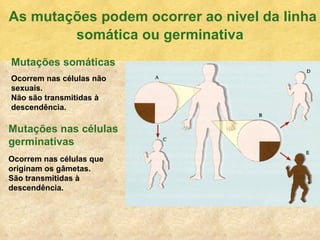 As mutaç ões podem ocorrer ao nivel da linha somática ou germinativa Mutaç ões somáticas Ocorrem nas células não sexuais.  Não são transmitidas à descendência. Mutaç ões nas células germinativas Ocorrem nas células que originam os gâmetas.  São transmitidas à descendência. 