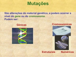 Mutaç ões S ão alterações do material genético, e podem ocorrer a nível do  gene  ou do  cromossoma. Podem ser: G énicas Cromoss ómicas Estruturais Num éricas 