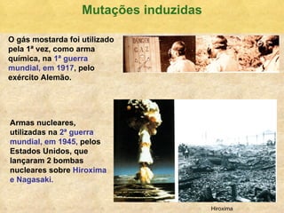 Mutaç ões induzidas O g ás mostarda foi utilizado pela 1ª vez, como arma química, na  1ª guerra   mundial, em 1917 , pelo exército Alemão. Armas nucleares, utilizadas na  2ª guerra   mundial, em 1945,  pelos Estados Unidos, que lançaram 2 bombas nucleares sobre  Hiroxima e Nagasaki. Hiroxima 