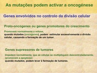 As mutaç ões podem activar a oncogénese Proto-oncogenes ou genes promotores do crescimento Promovem normalmente a mitose,   quando mutados ( oncogenes ), podem  estimular excessivamente a divisão celular, causando a formação de um tumor.  Genes supressores de tumores Impedem normalmente, que as células se multipliquem   descontroladamente,   (promovem a apoptose) quando mutados, podem levar à formação de tumores . Genes envolvidos no controlo da divisão celular 
