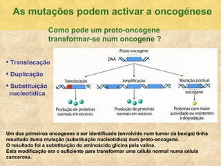 As mutaç ões podem activar a oncogénese Como pode um proto-oncogene  transformar-se num oncogene ? Translocaç ão Duplicação Substituição  nucleotídica Um dos primeiros oncogenes a ser identificado (envolvido num tumor da bexiga) tinha resultado duma mutaç ão  (substituiç ão  nucleot ídica) dum proto-oncogene.  O resultado foi a substituição do aminoácido glicina pela valina.  Esta modificação era o suficiente para transformar uma célula normal numa célula cancerosa. 