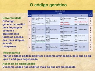 O c ódigo genético Universalidade O C ódigo genético constitui uma linguagem comum a praticamente todas as células, das mais simples às mais complexas. Redund ância V ários codões podem significar o mesmo aminoácido, pelo que se diz que o código é degenerado. Aus ência de ambiguidade O mesmo cod ão não codifica mais do que um aminoácido. 