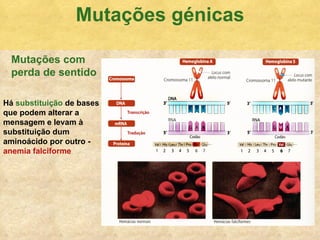 Mutaç ões génicas Há  substituição  de bases que podem alterar a mensagem e levam à substituição dum aminoácido por outro -  anemia falciforme Mutações com  perda de sentido   
