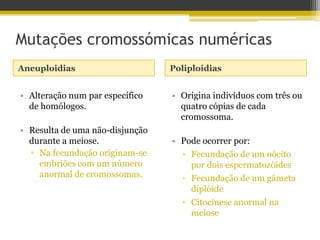 Mutações cromossómicas numéricasAneuploidiasPoliploidiasOrigina indivíduos com três ou quatro cópias de cada cromossoma.Pode ocorrer por:Fecundação de um oócito por dois espermatozóidesFecundação de um gâmeta diplóideCitocinese anormal na meioseAlteração num par específico de homólogos.Resulta de uma não-disjunção durante a meiose.Na fecundação originam-se embriões com um número anormal de cromossomas.